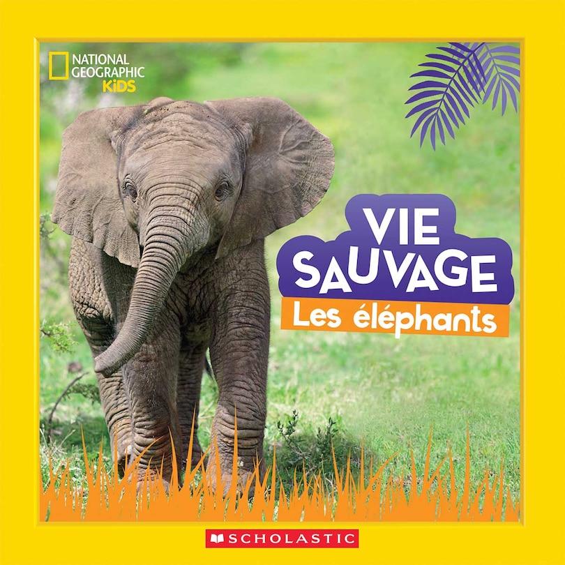 Front cover_National Geographic Kids : Vie sauvage : Les éléphants