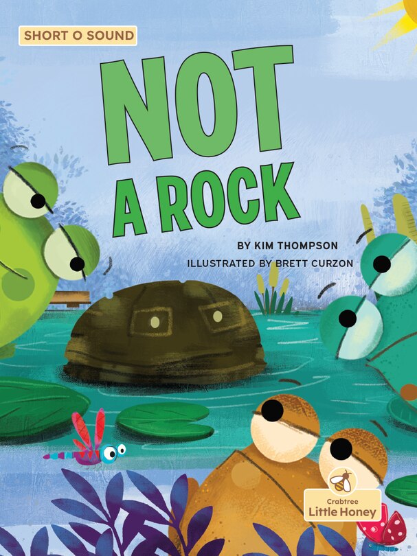 Front cover_Not a Rock
