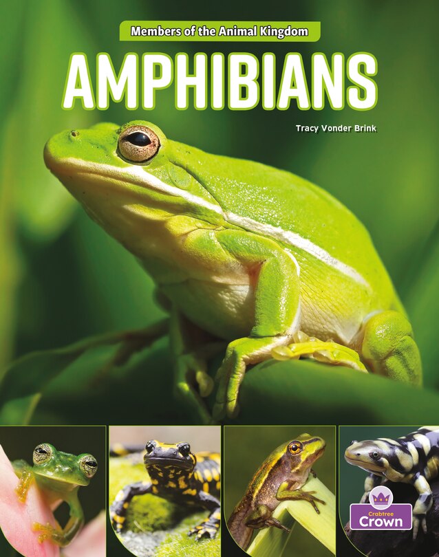 Front cover_Amphibians