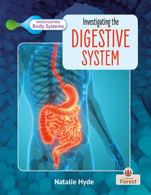 Front cover_Investigating the Digestive System