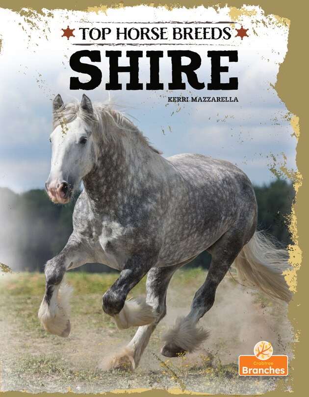 Couverture_Shire