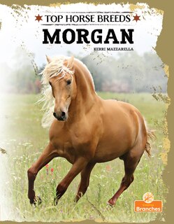 Front cover_Morgan