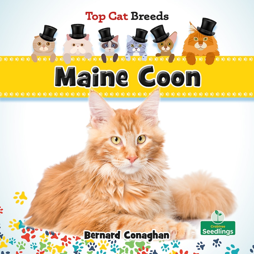 Front cover_Maine Coon