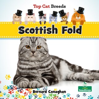Front cover_Scottish Fold
