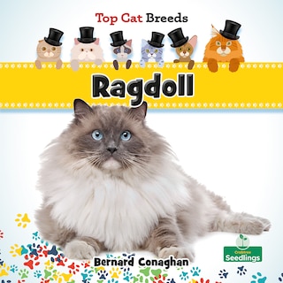 Couverture_Ragdoll