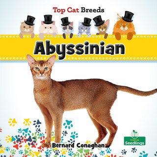 Couverture_Abyssinian