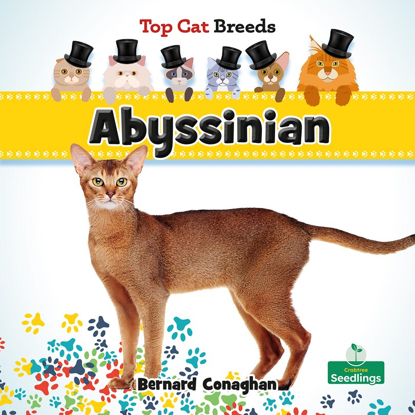 Couverture_Abyssinian
