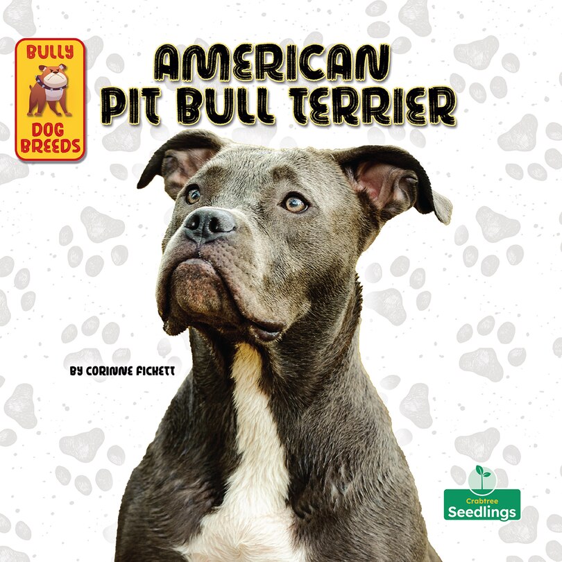 Couverture_American Pit Bull Terrier