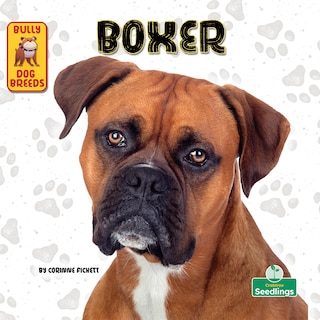 Front cover_Boxer