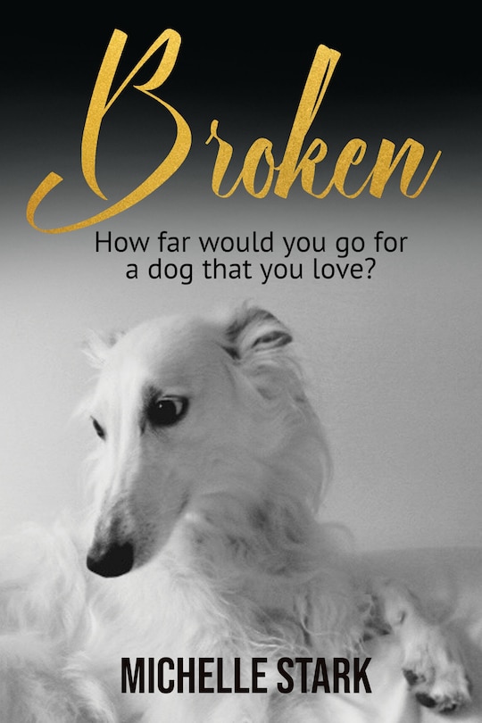Front cover_Broken
