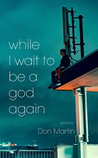 Couverture_while I wait to be a god again