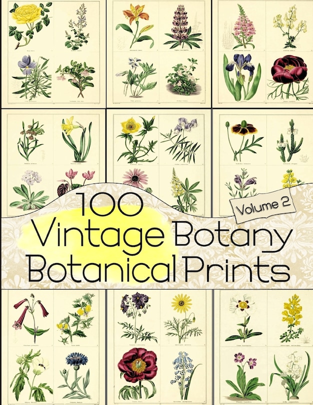 Front cover_100 Vintage Botany Botanical Prints Volume 2