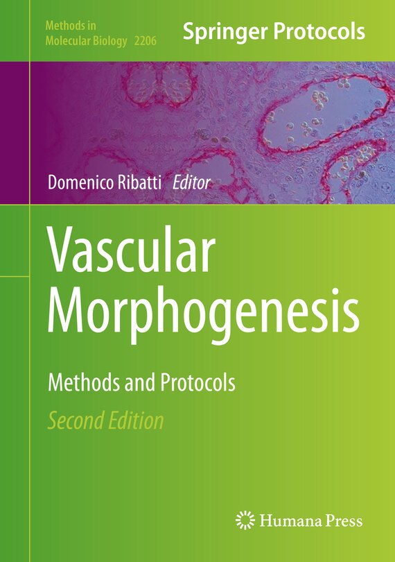 Couverture_Vascular Morphogenesis