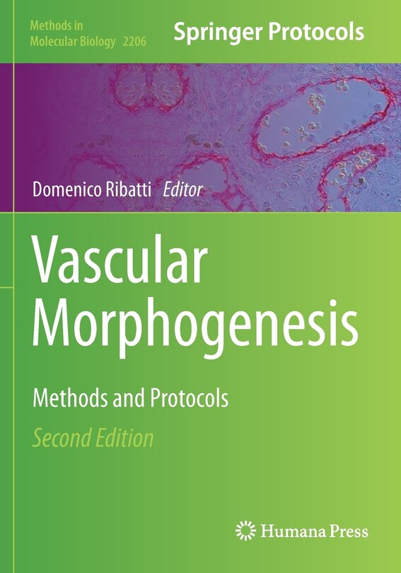 Couverture_Vascular Morphogenesis