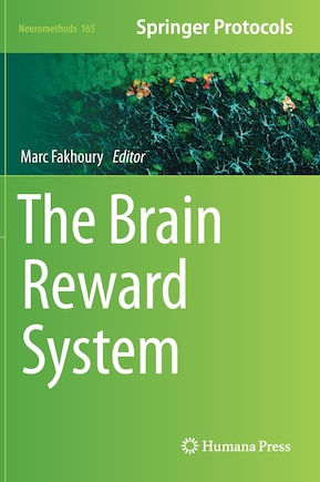 The Brain Reward System