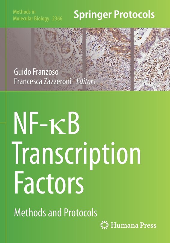 Front cover_NF-I B Transcription Factors