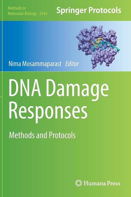 Couverture_Dna Damage Responses