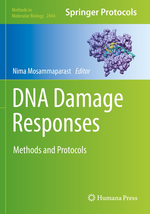 Couverture_DNA Damage Responses