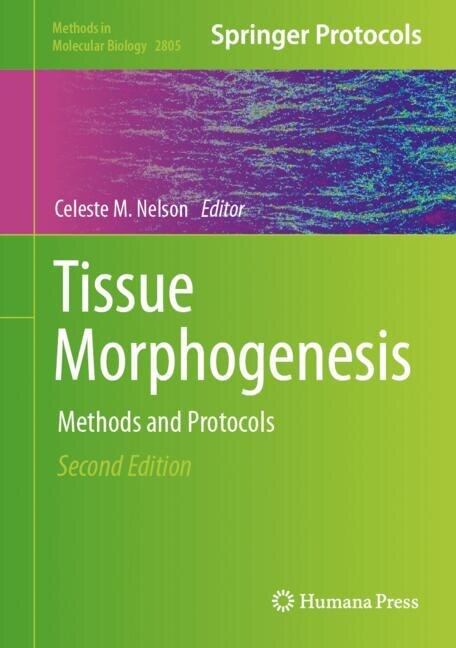 Front cover_Tissue Morphogenesis