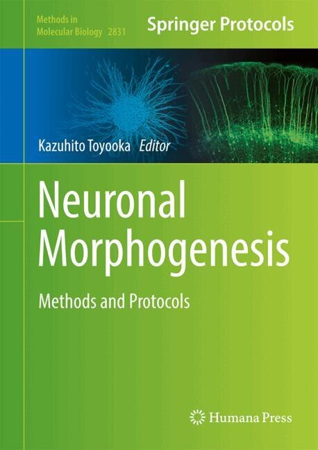 Couverture_Neuronal Morphogenesis