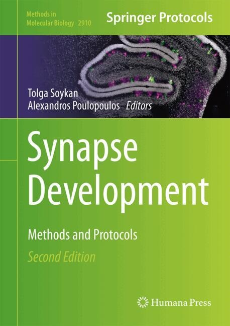 Front cover_Synapse Development