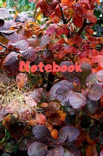 Notebook: Notebook / Diary With Colored Cover - Wide Ruled Line Paper