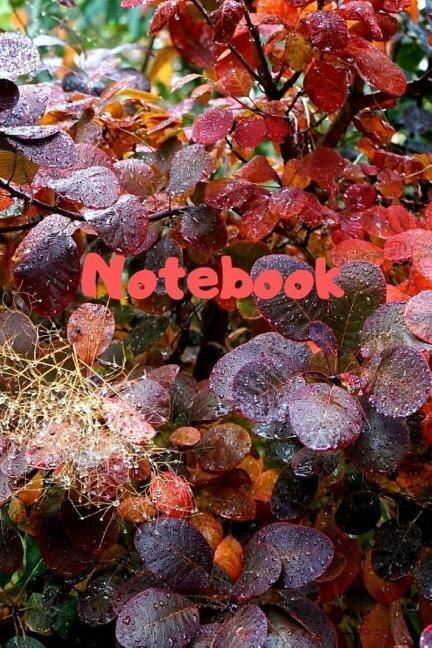 Notebook: Notebook / Diary With Colored Cover - Wide Ruled Line Paper