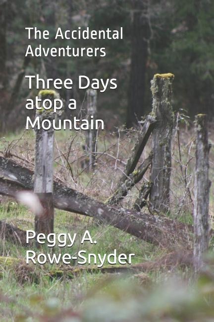 Three Days atop a Mountain: The Accidental Adventurers