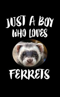 Front cover_Just A Boy Who Loves Ferrets