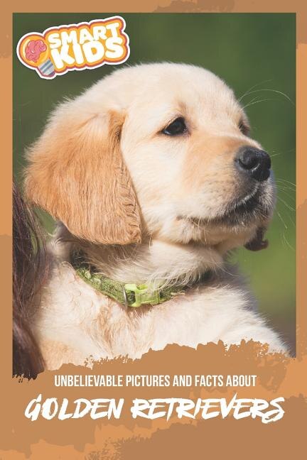 Unbelievable Pictures and Facts About Golden Retrievers