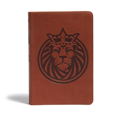 Front cover_KJV Kids Bible, Lion LeatherTouch