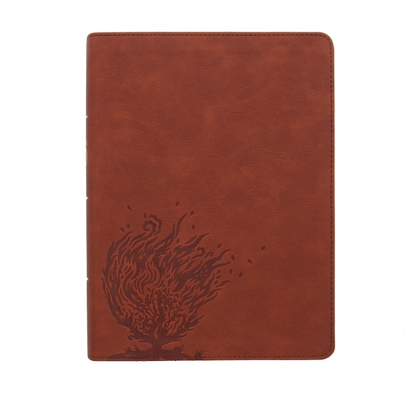 Front cover_CSB Experiencing God Bible, Burnt Sienna LeatherTouch