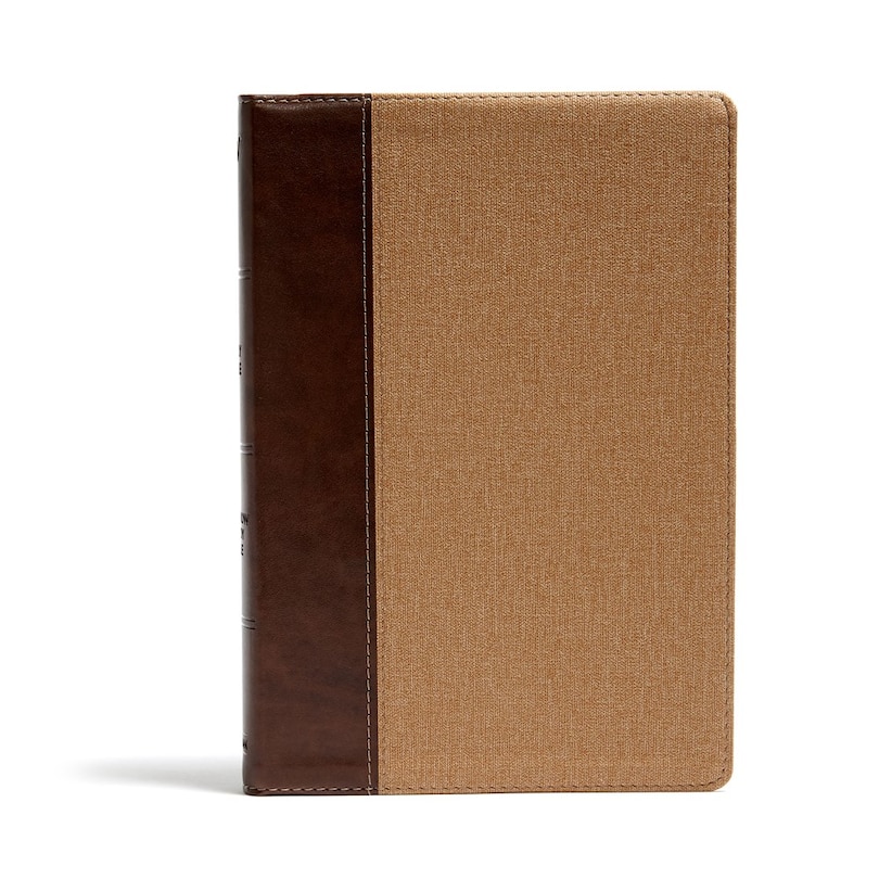 Kjv Rainbow Study Bible, Brown/tan Leathertouch