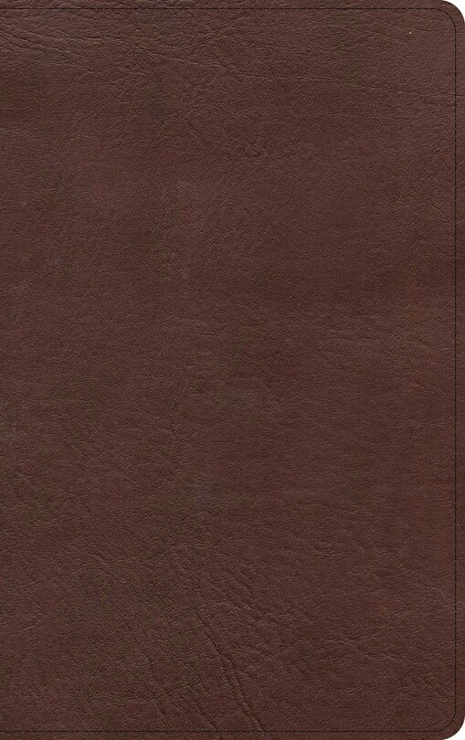 Front cover_KJV Single-Column Personal Size Bible, Brown LeatherTouch
