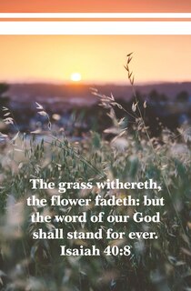 Front cover_The Word of Our God  Bulletin (Pkg 100) General Worship