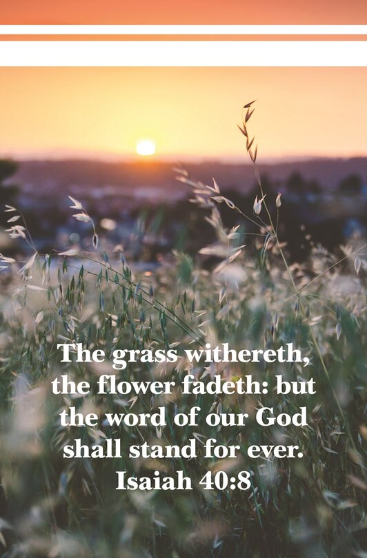 Front cover_The Word of Our God  Bulletin (Pkg 100) General Worship