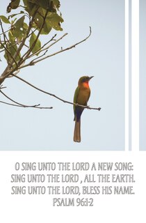 Front cover_General Worship Bulletin: Sing Unto The Lord (Package of 100)