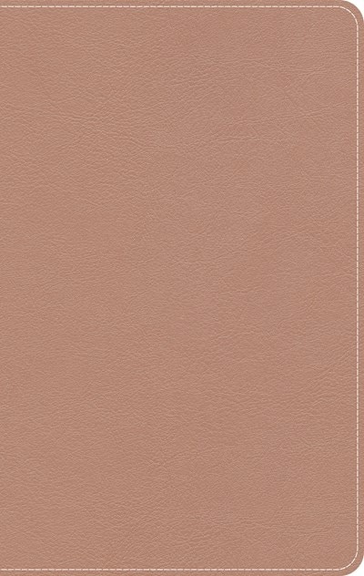 Front cover_KJV On-The-Go Bible, Personal Size, Rose Gold LeatherTouch