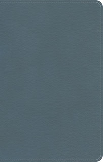 Couverture_KJV On-The-Go Bible, Personal Size, Steel Blue LeatherTouch