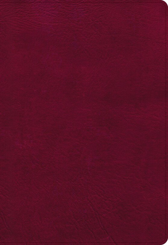 Couverture_NASB Super Giant Print Reference Bible, Burgundy LeatherTouch
