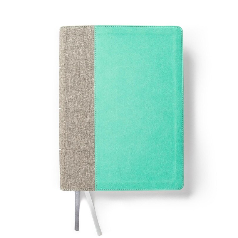 Front cover_CSB Lifeway Women's Bible, Gray/Mint LeatherTouch