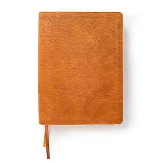 Front cover_CSB Lifeway Women's Bible, Butterscotch Genuine Leather, Indexed