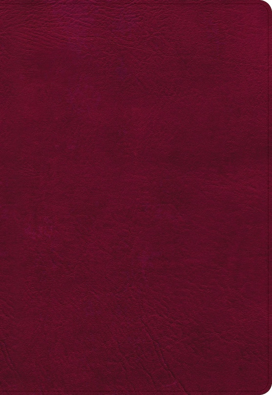 Front cover_NASB Super Giant Print Reference Bible, Burgundy LeatherTouch, Indexed