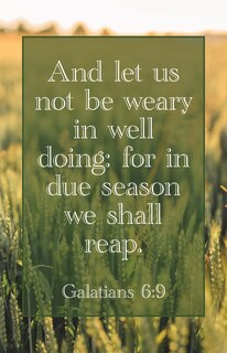Front cover_General Worship Bulletin: We Shall Reap (Package of 100)