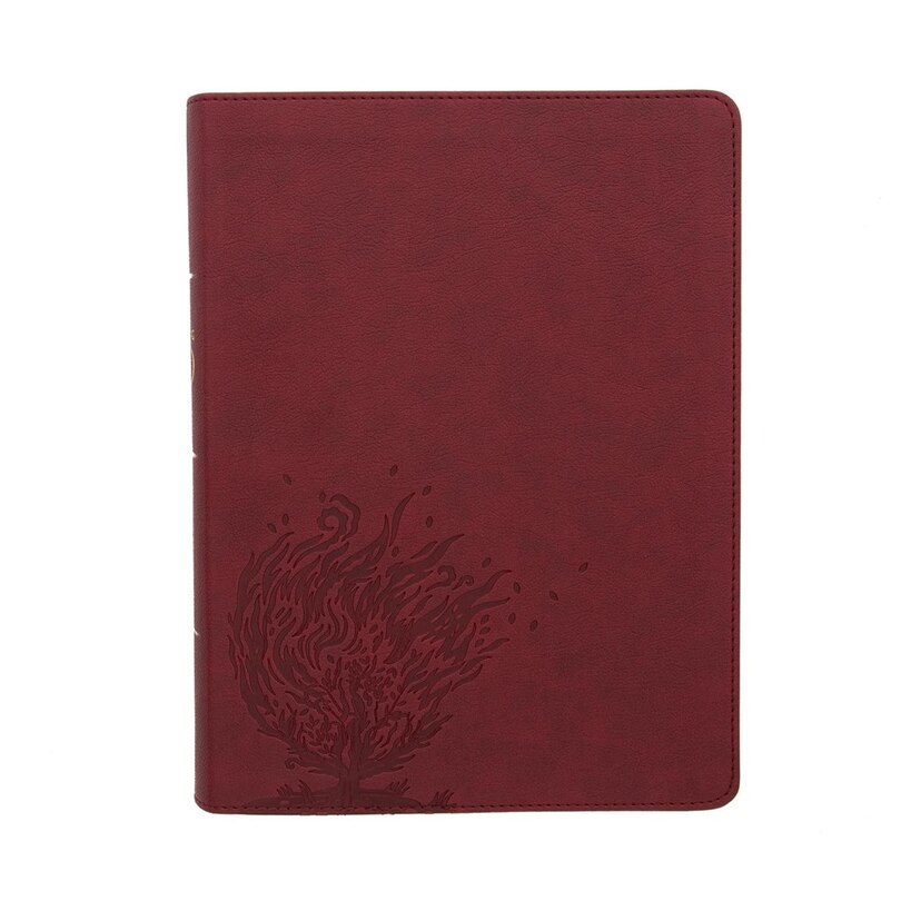 Front cover_CSB Experiencing God Bible, Burgundy LeatherTouch