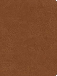 Front cover_CSB He Reads Truth Bible, Saddle LeatherTouch, Indexed