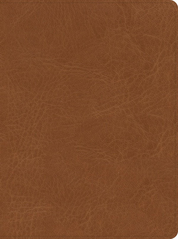 Front cover_CSB He Reads Truth Bible, Saddle LeatherTouch, Indexed