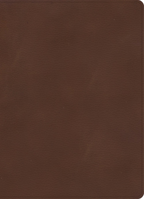 Front cover_KJV Single-Column Wide-Margin Bible, Brown LeatherTouch