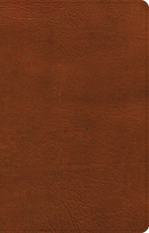 Front cover_CSB Thinline Bible, Burnt Sienna LeatherTouch