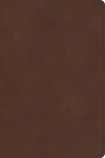 Couverture_CSB Rainbow Study Bible, Brown LeatherTouch